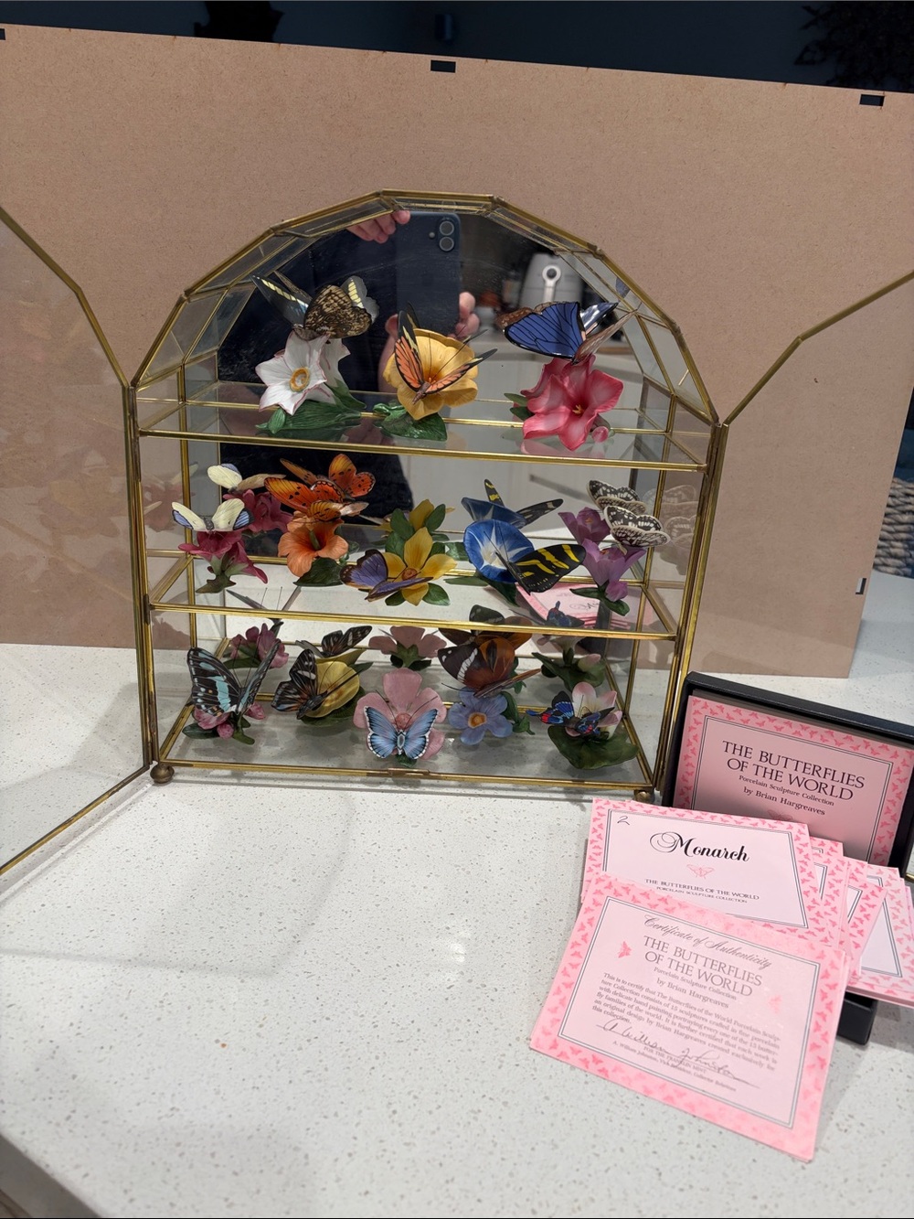 Butterflies of the World.  Porcelain sculpture Collection by Brian Hargreaves.